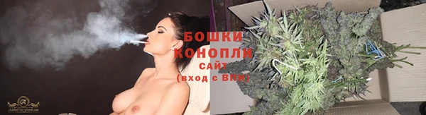 эйфоретик Пестово