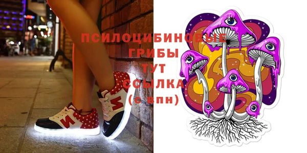 эйфоретик Пестово