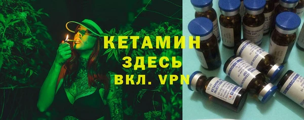 шишки Данков