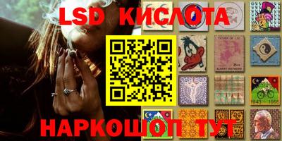 молекула духа Бийск