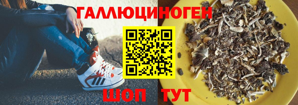 даркнет сайт  Галлюциногенные грибы Psilocybine cubensis  Вход с VPN  Сатка 