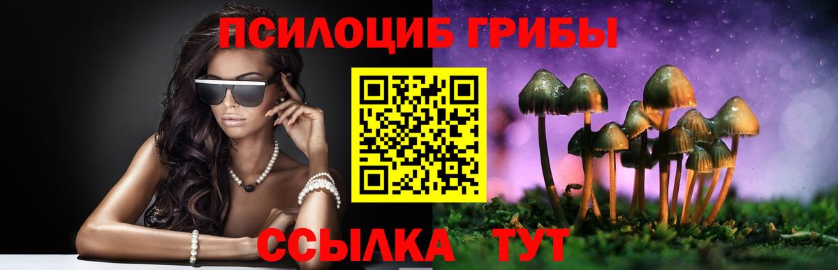 Галлюциногенные грибы Psilocybe  Сатка  Псилоцибиновые грибы мухоморы 
