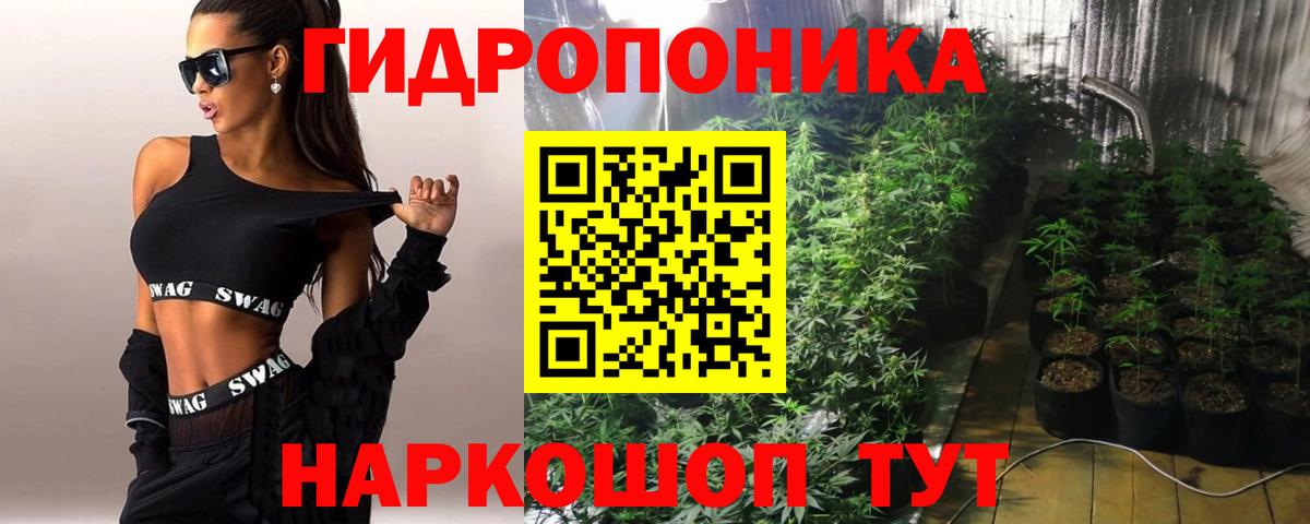Конопля конопля  Вход с VPN  Сатка  Бошки марихуана SATIVA & INDICA  Бошки Шишки SATIVA & INDICA 
